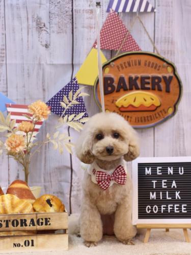 20240904サラちゃん